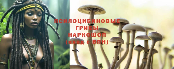 кокаин Горнозаводск
