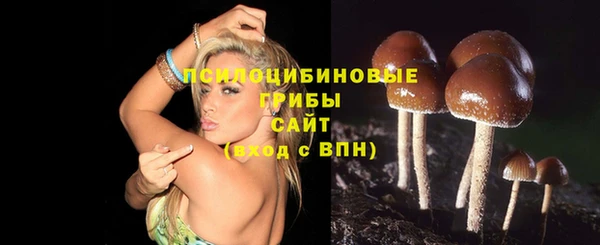 a pvp Сосновый Бор