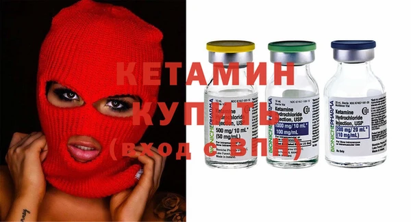 шишки Слюдянка